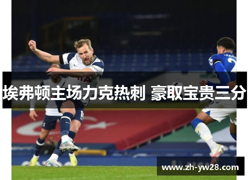 埃弗顿主场力克热刺 豪取宝贵三分